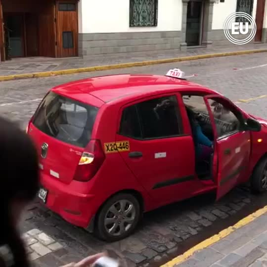Llama sube a un taxi en Perú