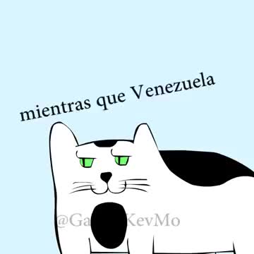 El Politigato #22 Venezuela Vs. USA